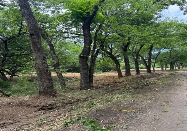 Photo 3 of Land for sale at Lot 4 County Road 3562, Dike, TX 75437 | MLS# 21326632 | Listing updated on 2026-07-29