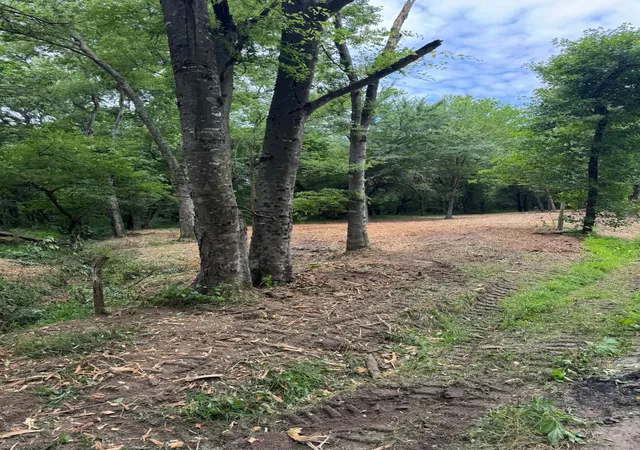 Photo 4 of Land for sale at Lot 4 County Road 3562, Dike, TX 75437 | MLS# 21326632 | Listing updated on 2026-07-29