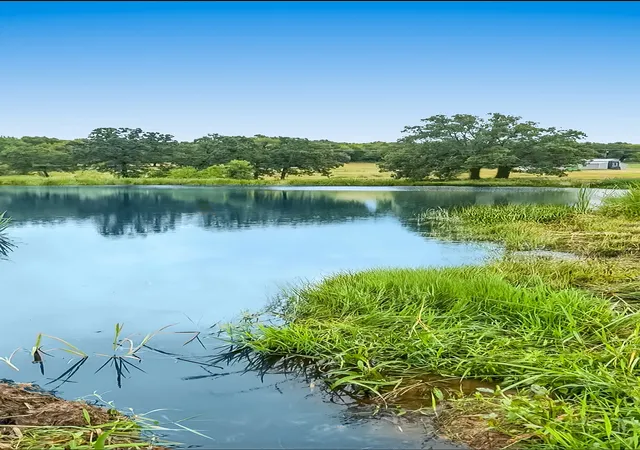 Photo 4 of Sale Pending at 9224 County Road 1200, Athens, TX 75751 | MLS# 21330289 | Listing updated on 2026-09-11