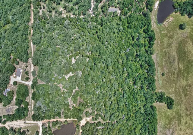 Photo 2 of Land for sale at 801 Starlight Path Rd, Caldwell, TX 77836 | MLS# 21331798 | Listing updated on 2026-09-10