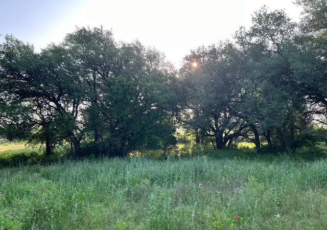 Photo 2 of Land for sale at Tbd S Hwy 16, Comanche, TX 76442 | MLS# 21331812 | Listing updated on 2026-09-29