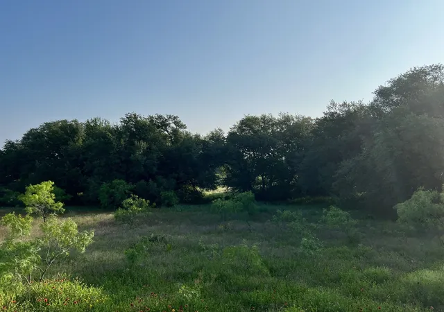 Photo 3 of Land for sale at Tbd S Hwy 16, Comanche, TX 76442 | MLS# 21331812 | Listing updated on 2026-09-29