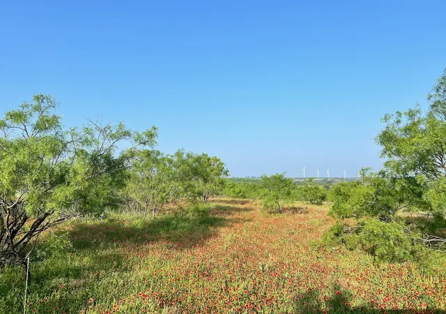 Photo 3 of Land for sale at Tbd S Hwy 16, Comanche, TX 76442 | MLS# 21331812 | Listing updated on 2026-09-29