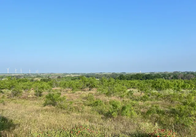Photo 4 of Land for sale at Tbd S Hwy 16, Comanche, TX 76442 | MLS# 21331812 | Listing updated on 2026-09-29