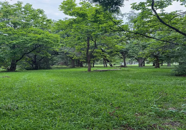 Photo 1 of Land for sale at 510 Braz St, Bonham, TX 75418 | MLS# 21332457 | Listing updated on 2026-10-28