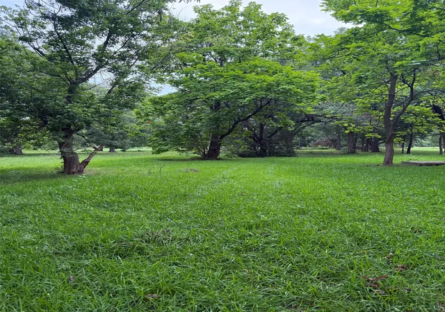 Photo 2 of Land for sale at 510 Braz St, Bonham, TX 75418 | MLS# 21332457 | Listing updated on 2026-10-28