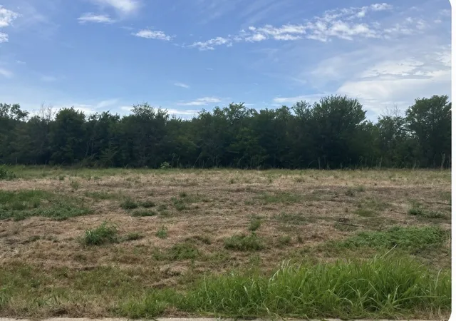 Land for sale at 309 Creekside, Valley View, TX 76272 | MLS# 21332591