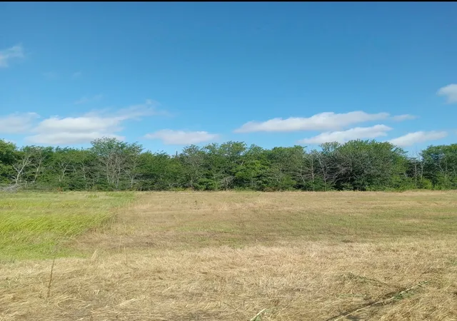Photo 2 of Land for sale at 309 Creekside, Valley View, TX 76272 | MLS# 21332591 | Listing updated on 2026-09-16
