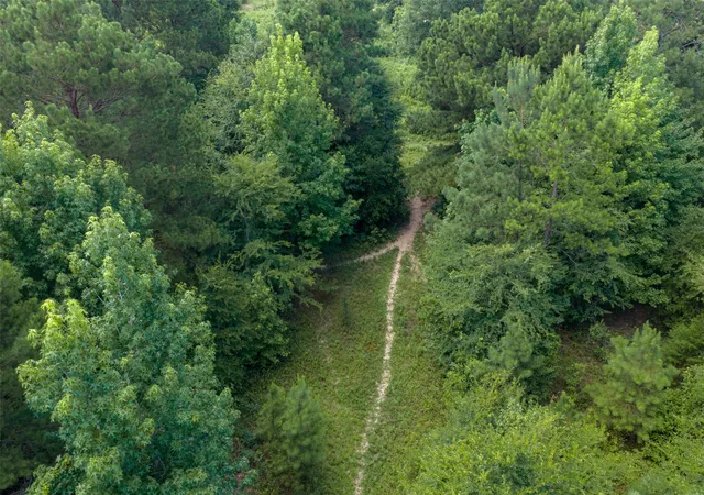 Photo 2 of Land for sale at 0 Cr 3154, De Berry, TX 75639 | MLS# 21334256 | Listing updated on 2026-09-10