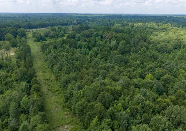 Photo 4 of Land for sale at 0 Cr 3154, De Berry, TX 75639 | MLS# 21334256 | Listing updated on 2026-09-10