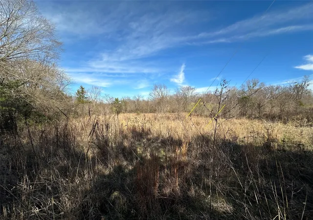 Photo 2 of Land for sale at 0000 County Road 2324, Como, TX 75431 | MLS# 21335124 | Listing updated on 2026-09-09