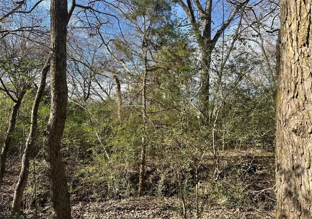 Photo 3 of Land for sale at 0000 County Road 2324, Como, TX 75431 | MLS# 21335124 | Listing updated on 2026-09-09