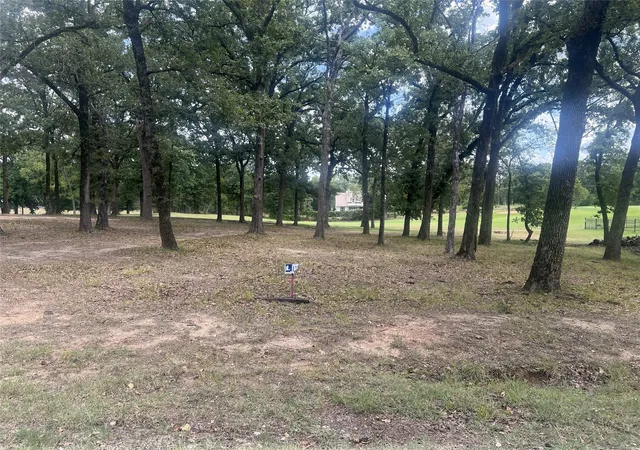 Photo 4 of Land for sale at 132 Colonial Dr, Mabank, TX 75156 | MLS# 21337499 | Listing updated on 2026-07-28