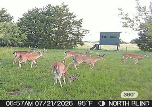 Photo 40 of Land for sale at 315 County Road 2240, Kerens, TX 75144 | MLS# 21337587 | Listing updated on 2026-09-14