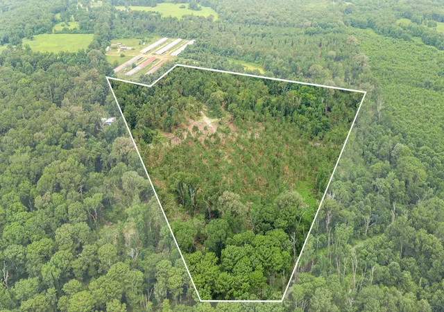 Land for sale at 1609 County Road 3224, Center, TX 75935 | MLS# 21334420