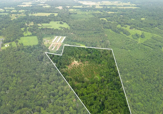 Photo 3 of Land for sale at 1609 County Road 3224, Center, TX 75935 | MLS# 21334420 | Listing updated on 2026-10-07
