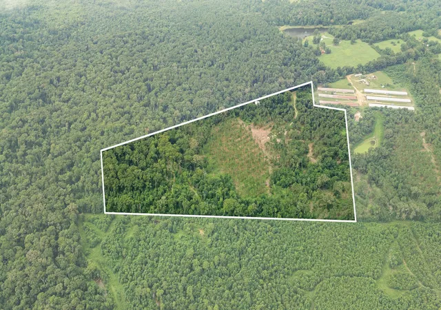 Photo 3 of Land for sale at 1609 County Road 3224, Center, TX 75935 | MLS# 21334420 | Listing updated on 2026-10-07