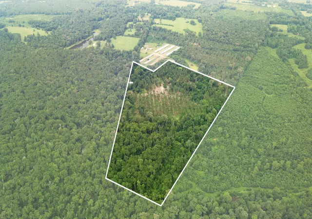 Photo 4 of Land for sale at 1609 County Road 3224, Center, TX 75935 | MLS# 21334420 | Listing updated on 2026-10-07