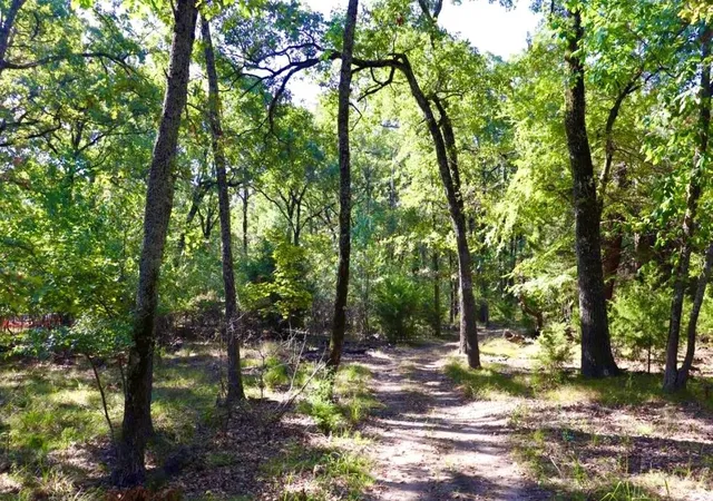 Photo 3 of Land for sale at 801 Wood Duck Tr, Quinlan, TX 75474 | MLS# 21338986 | Listing updated on 2026-09-11