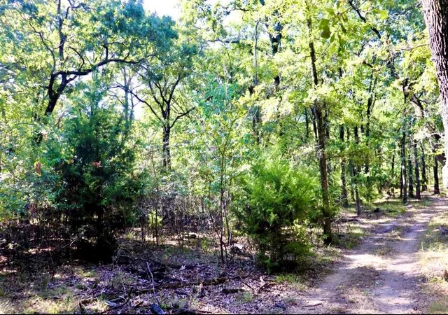 Photo 3 of Land for sale at 800 Wood Duck Tr, Quinlan, TX 75474 | MLS# 21339034 | Listing updated on 2026-09-11