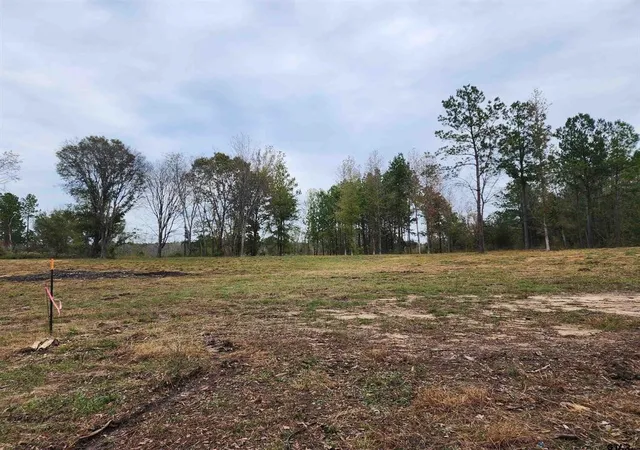Photo 11 of Sale Pending at 14470 Cr-363, Winona, TX 75792 | MLS# 21339058 | Listing updated on 2026-10-01