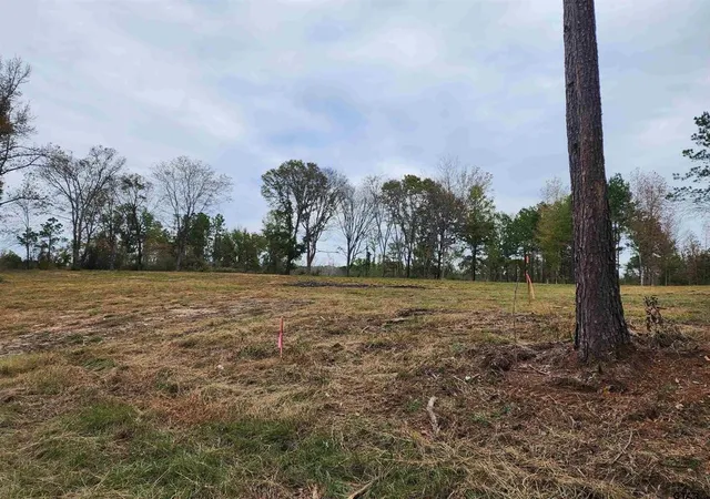 Photo 3 of Sale Pending at 14414 Cr-363, Winona, TX 75792 | MLS# 21339654 | Listing updated on 2026-10-01