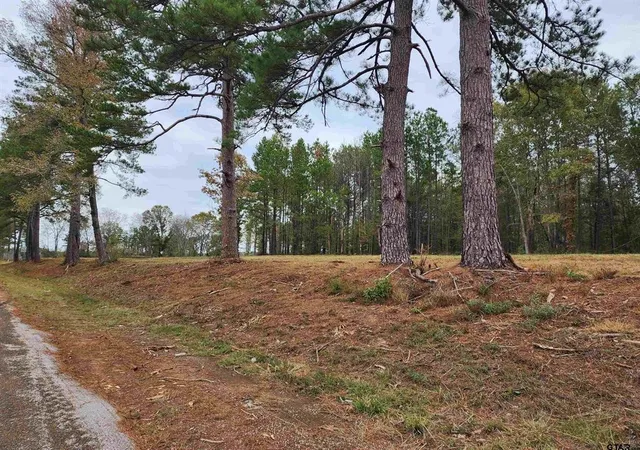 Photo 3 of Sale Pending at 14386 County Road 363, Winona, TX 75792 | MLS# 21339668 | Listing updated on 2026-10-01