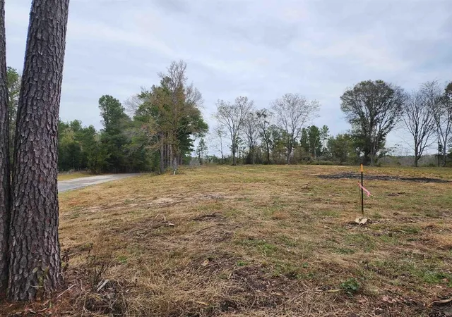 Photo 4 of Sale Pending at 14386 County Road 363, Winona, TX 75792 | MLS# 21339668 | Listing updated on 2026-10-01