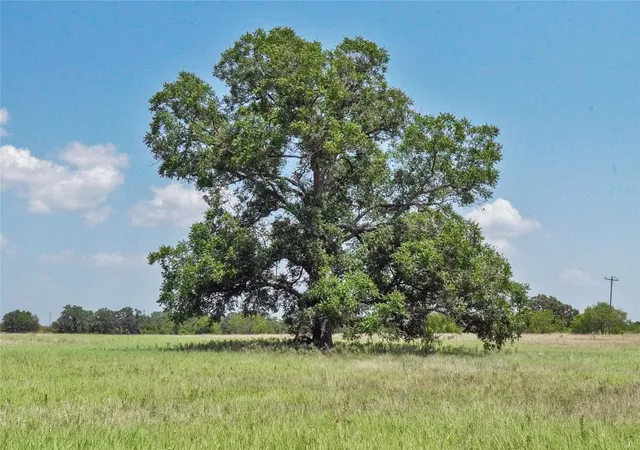 Photo 2 of Sale Pending at 7163 Acres Slusher Rd, Jacksboro, TX 76458 | MLS# 21339679 | Listing updated on 2026-07-30