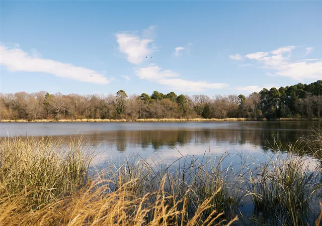 Photo 4 of Land for sale at Tbd Lot 3 County Road 2200, Mineola, TX 75773 | MLS# 21294198 | Listing updated on 2026-07-30