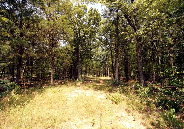 Photo 3 of Land for sale at 10 County Road 2263, Valley View, TX 76272 | MLS# 21341443 | Listing updated on 2026-09-14