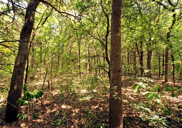Photo 3 of Land for sale at 10 County Road 2263, Valley View, TX 76272 | MLS# 21341443 | Listing updated on 2026-09-14