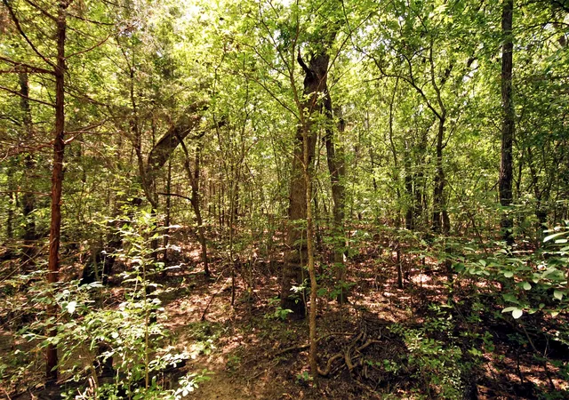 Photo 4 of Land for sale at 10 County Road 2263, Valley View, TX 76272 | MLS# 21341443 | Listing updated on 2026-09-14
