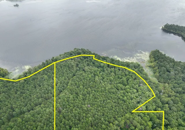 Photo 2 of Land for sale at T 2 Arledge Trail/off Gateway Meadows, Hemphill, TX 75948 | MLS# 21342786 | Listing updated on 2026-07-31