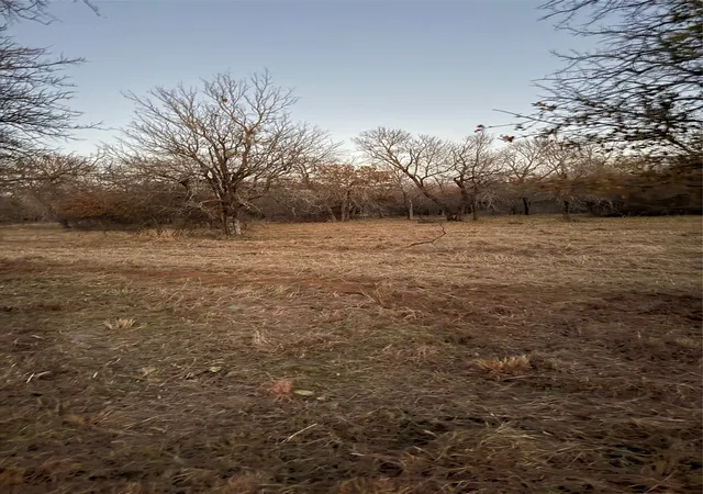 Photo 4 of Land for sale at Ridgeline Dr Ridgeline Dr #203, Chico, TX 76431 | MLS# 21342828 | Listing updated on 2026-07-28