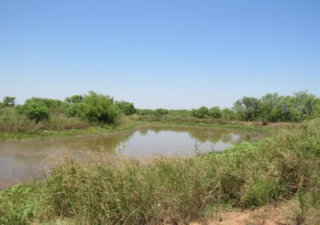 Land for sale at Tbd County Road 211, Brookesmith, TX 76827 | MLS# 21343087