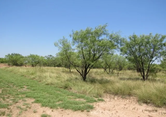 Photo 3 of Land for sale at Tbd County Road 211, Brookesmith, TX 76827 | MLS# 21343087 | Listing updated on 2026-10-02