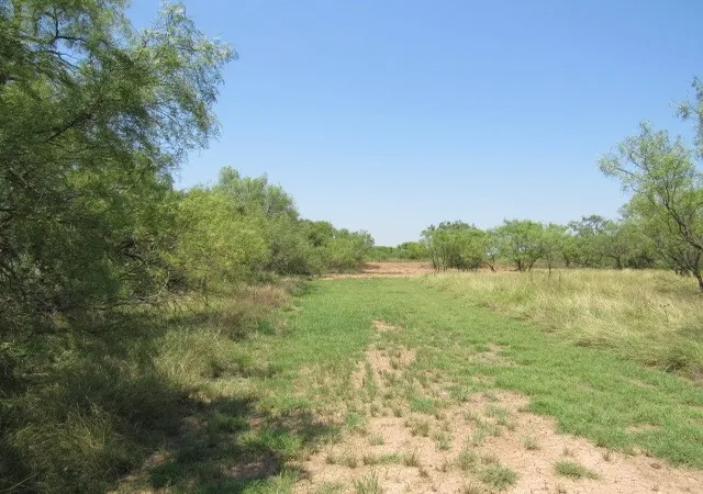 Photo 4 of Land for sale at Tbd County Road 211, Brookesmith, TX 76827 | MLS# 21343087 | Listing updated on 2026-10-02