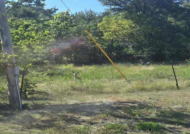 Photo 4 of Land for sale at Tbd Marco Dr, Runaway Bay, TX 76426 | MLS# 21343179 | Listing updated on 2026-09-14