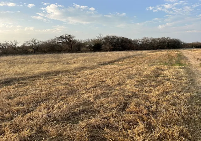 Photo 2 of Land for sale at 1551 County Road 1480, Chico, TX 76431 | MLS# 21343468 | Listing updated on 2026-07-28