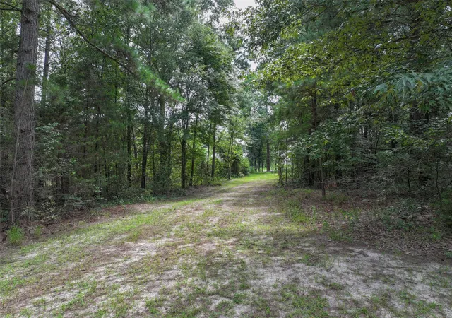 Photo 3 of Land for sale at 127 S County Road 1001, New Boston, TX 75570 | MLS# 21344225 | Listing updated on 2026-07-29