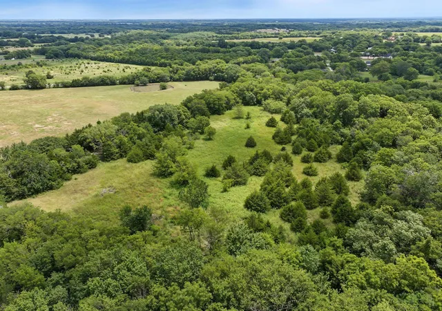 Photo 4 of Land for sale at 4+ Acres County Road 4435, Trenton, TX 75490 | MLS# 21335924 | Listing updated on 2026-07-30