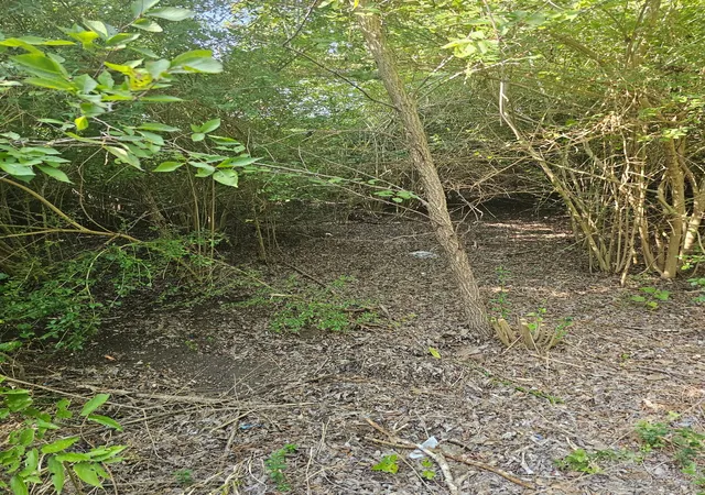 Land for sale at 215 N Houston School Rd, Lancaster, TX 75146 | MLS# 21340872