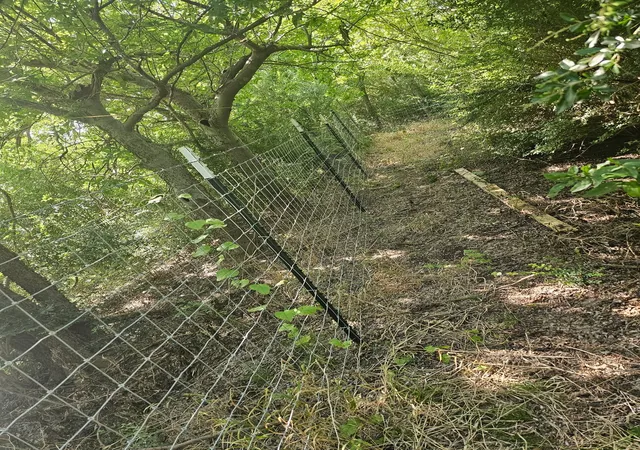 Photo 2 of Land for sale at 215 N Houston School Rd, Lancaster, TX 75146 | MLS# 21340872 | Listing updated on 2026-07-30