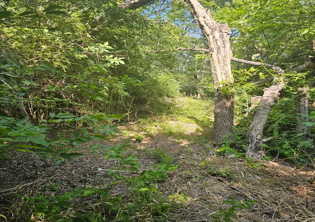 Photo 3 of Land for sale at 215 N Houston School Rd, Lancaster, TX 75146 | MLS# 21340872 | Listing updated on 2026-07-30