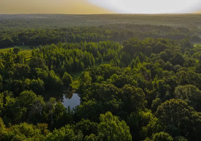 Photo 1 of Land for sale at 0000 Vz County Road 4912, Ben Wheeler, TX 75754 | MLS# 21344972 | Listing updated on 2026-07-29