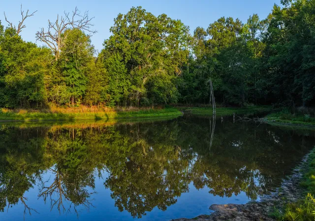 Photo 3 of Land for sale at 0000 Vz County Road 4912, Ben Wheeler, TX 75754 | MLS# 21344972 | Listing updated on 2026-07-29