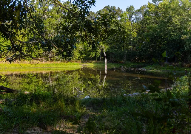 Photo 3 of House for sale at 0000 Vz County Road 4912, Ben Wheeler, TX 75754 | MLS# 21344972 | Listing updated on 2026-07-29