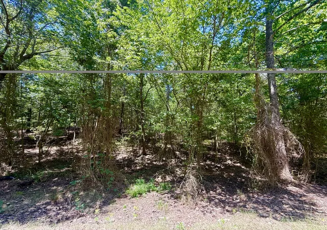 Photo 2 of Land for sale at 0 Cr 1755, Mount Pleasant, TX 75455 | MLS# 21345016 | Listing updated on 2026-09-28