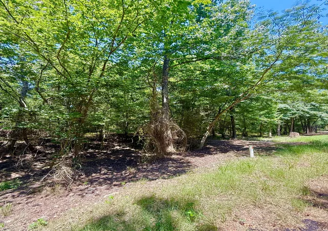 Photo 3 of Land for sale at 0 Cr 1755, Mount Pleasant, TX 75455 | MLS# 21345016 | Listing updated on 2026-09-28